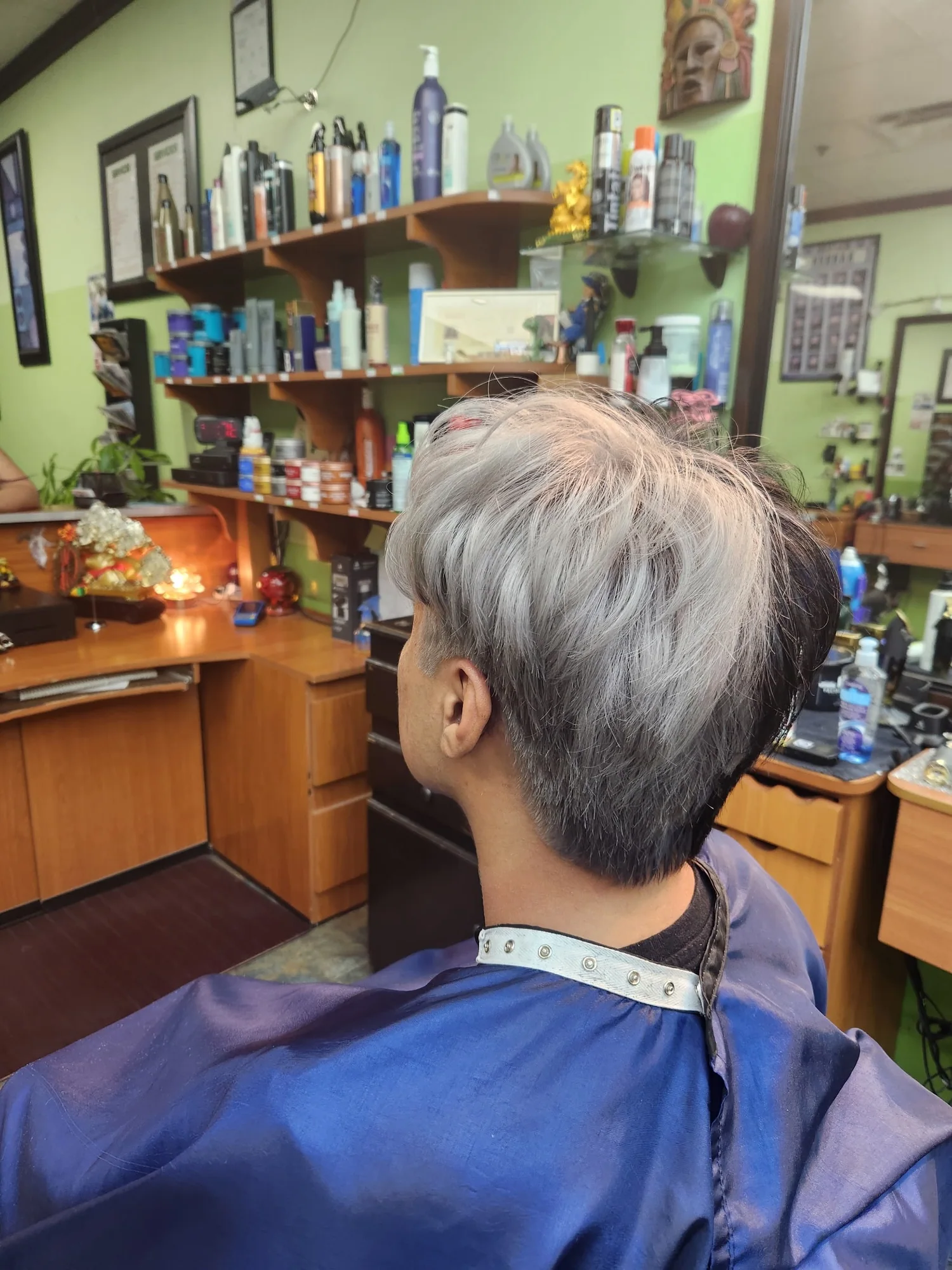 Finished silver-and-black split hair color viewed from the left rear